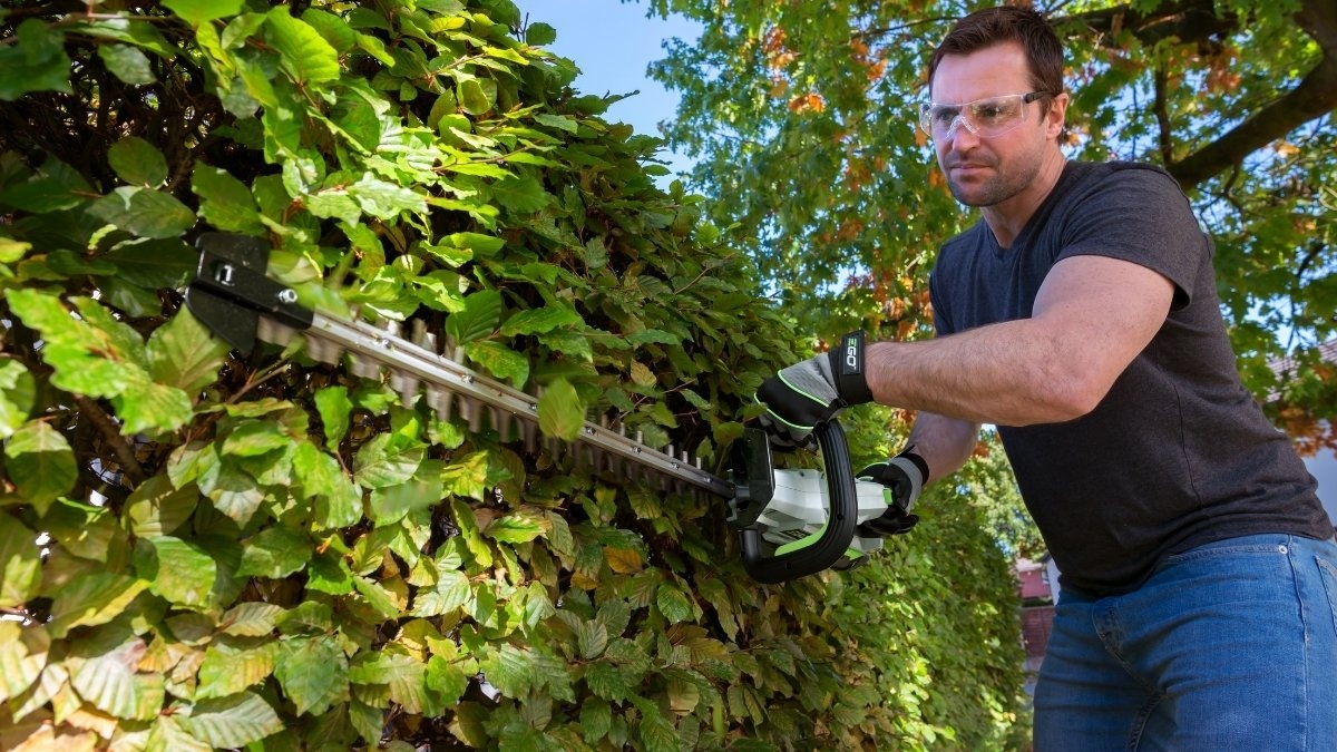 Common Hedging Mistakes That Can Damage Your Trees and Shrubs