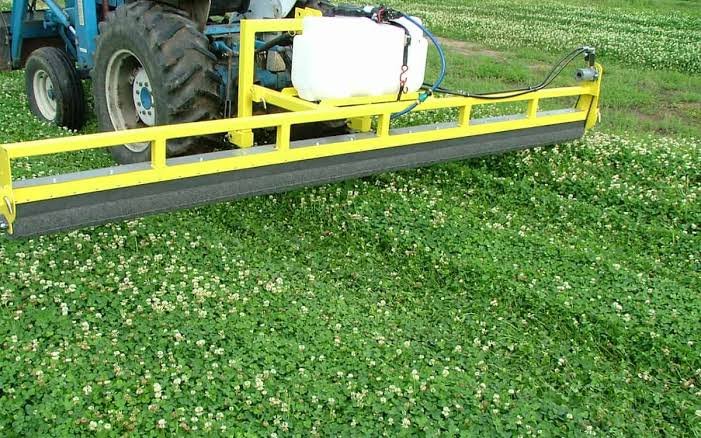 How a Weed Wiper Reduces Herbicide Use in Pasture